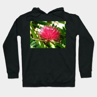 121816 red starburst Hoodie